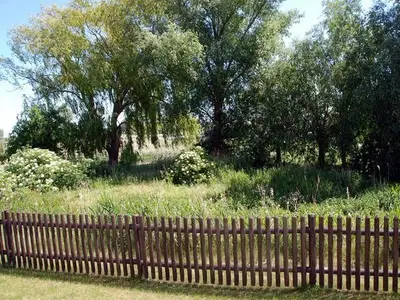 Ferienwohnung für 4 Personen (40 m²) in Kirchdorf (Insel Poel) 3/10