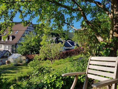 Platz im Garten unterm Apfelbaum