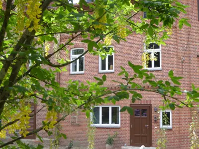 Ferienwohnung für 4 Personen (70 m²) in Kirchlinteln 3/10