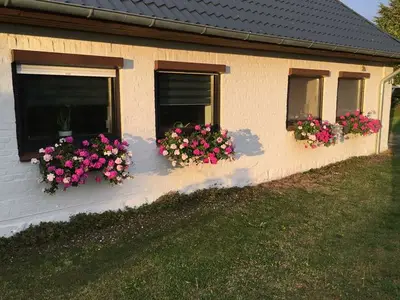 Ferienwohnung für 5 Personen (85 m²) in Kirchnüchel 2/10