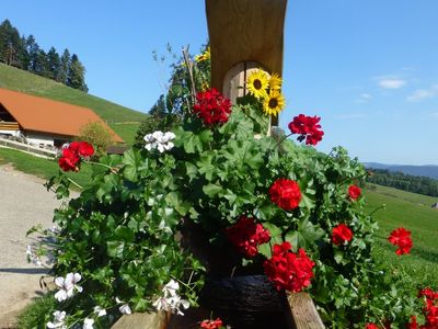 Hofbrunnen mit Quell- Wasser