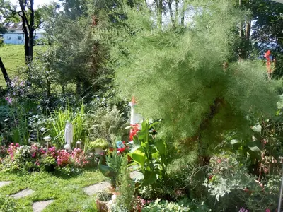 Ferienwohnung für 2 Personen (26 m²) in Kirchzarten 4/10