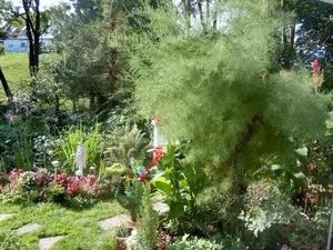 Ferienwohnung für 3 Personen (60 m²) in Kirchzarten