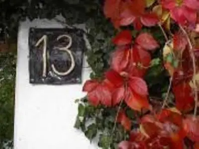 Ferienwohnung für 3 Personen (60 m²) in Kirchzarten 9/10