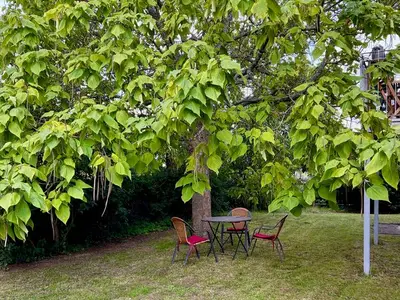Ferienwohnung für 2 Personen (45 m²) in Kirkel 2/10