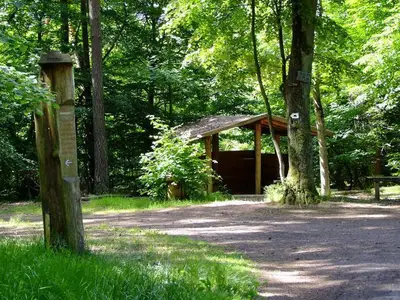 Kirkeler_Wald