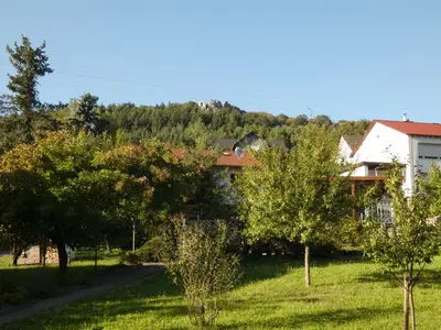 Obstgarten