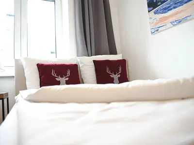 Ferienwohnung für 6 Personen (67 m²) in Kitzbühel 8/10