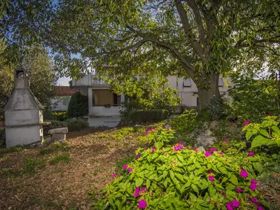 Ferienwohnung für 5 Personen (62 m²) in Klanice 7/10