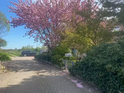 Ferienwohnung für 2 Personen (55 m²) in Klein Gladebrügge 1/10
