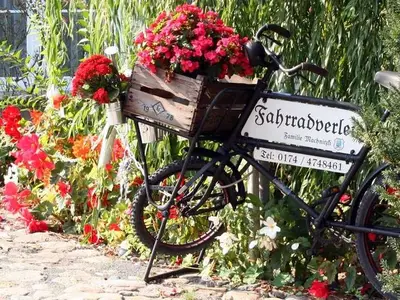 Ferienwohnung für 4 Personen (37 m²) in Klein Nemerow 3/10