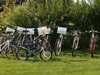 Ferienwohnung für 4 Personen (37 m²) in Klein Nemerow 9/10