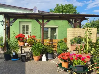 Ferienwohnung für 5 Personen (38 m²) in Klein Vielen 2/10