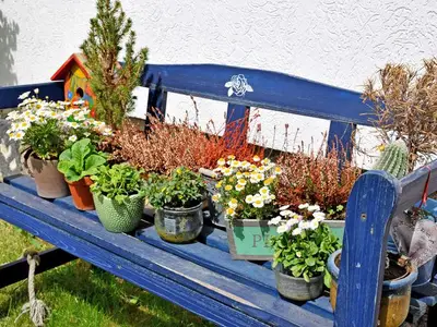 Ferienwohnung für 4 Personen (50 m²) in Klein Zicker 2/10