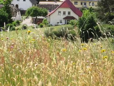 Ferienwohnung für 2 Personen (27 m²) in Klein Zicker 2/10