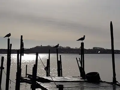 Ferienwohnung für 5 Personen (70 m²) in Klein Zicker 2/10