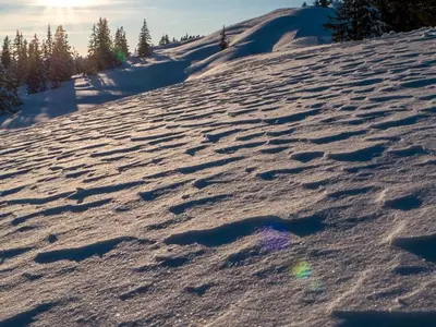 Powder