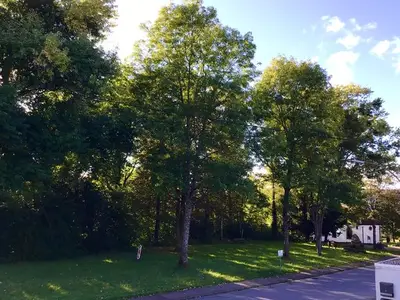 Ferienwohnung für 2 Personen (68 m²) in Kleinblittersdorf 7/10