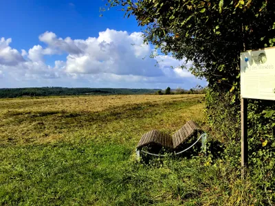 Feld