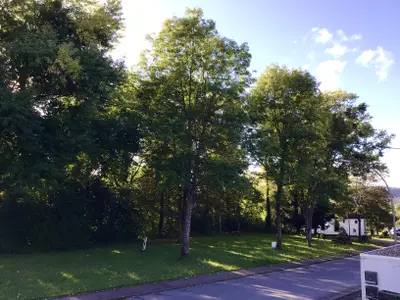 Aussicht