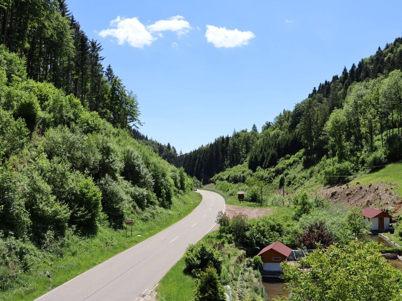 22608867-Ferienwohnung-3-Kleines Wiesental-800x600-1