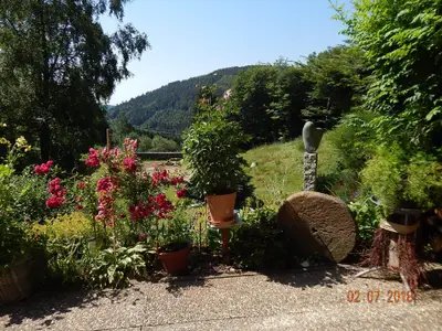 Bild 7