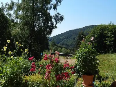 Bild 9