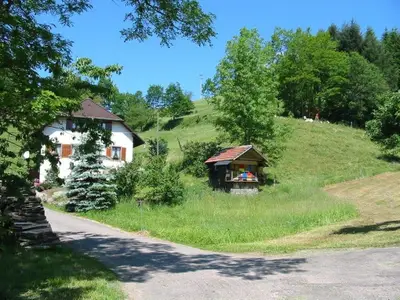 Ferienwohnung für 2 Personen (50 m²) in Kleines Wiesental 8/10