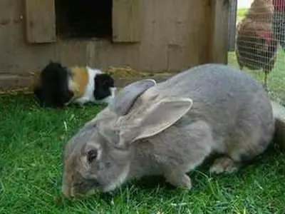 Bild 9