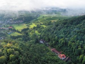 Ferienwohnung für 2 Personen (40 m²) in Klingenmünster