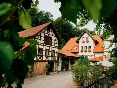 Ferienwohnung für 2 Personen (40 m²) in Klingenmünster 1/1