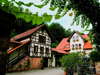 20170817-porzelt_weingut009 - Ko