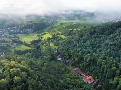 DJI_0176_5000px_bearb-Paint