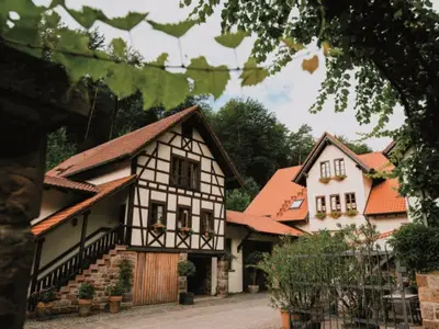 Ferienwohnung für 4 Personen (60 m²) in Klingenmünster 8/8