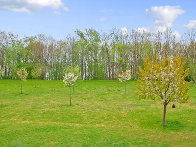 outside