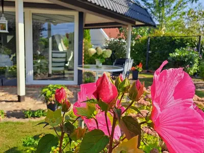 Ferienwohnung für 3 Personen (37 m²) in Ribnitz-Damgarten 1/10