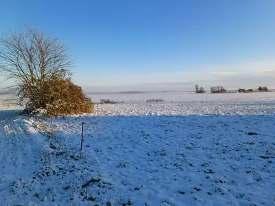 Ferienwohnung für 3 Personen (37 m²) in Ribnitz-Damgarten 1/10