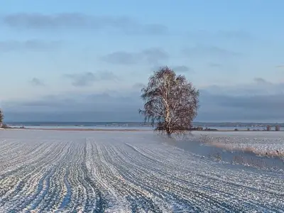 Ferienwohnung für 3 Personen (37 m²) in Ribnitz-Damgarten 2/10