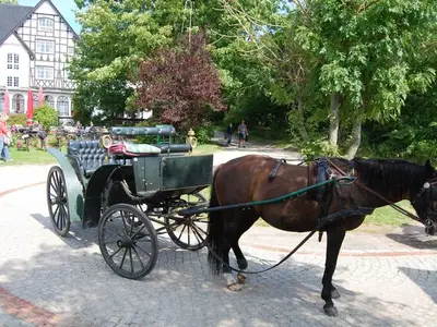 Ferienwohnung für 3 Personen (39 m²) in Insel Hiddensee 9/10