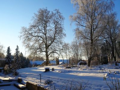 Blick in den weißen Garten