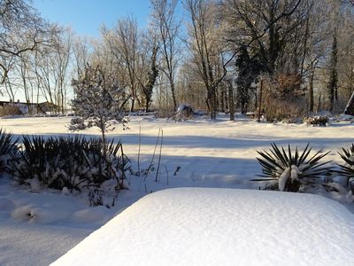 Der Garten in der Wintersonne