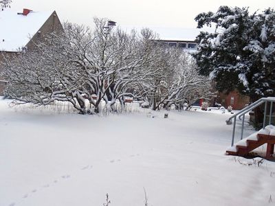 Der schneebedeckte Maigarten