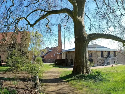 Ferienwohnung für 2 Personen (25 m²) in Kloster Lehnin 10/10