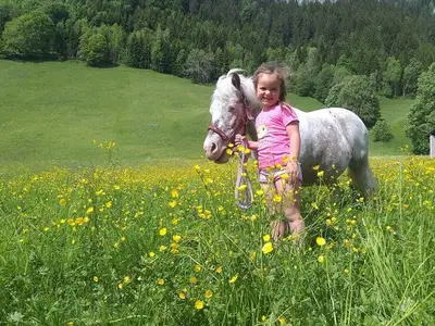 Ferienwohnung für 8 Personen (97 m²) in Klösterle am Arlberg 10/10