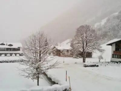 ViewWinter