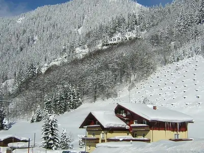 Ferienwohnung für 4 Personen (70 m²) in Klösterle am Arlberg 3/10