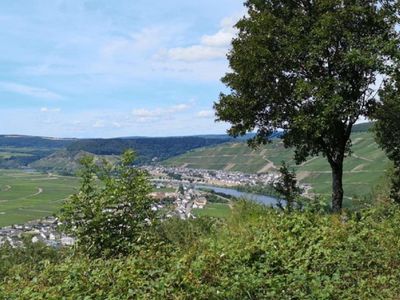 Moselblick vom Wanderweg