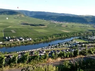 Moselblick Klüsserath