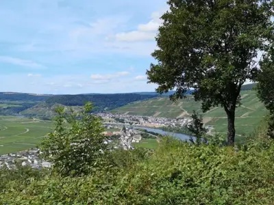 Moselblick vom Wanderweg