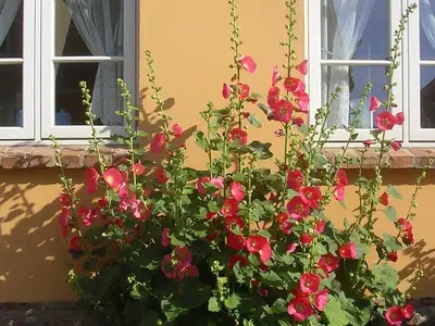 Ferienwohnung für 2 Personen (40 m²) in Klütz 4/10